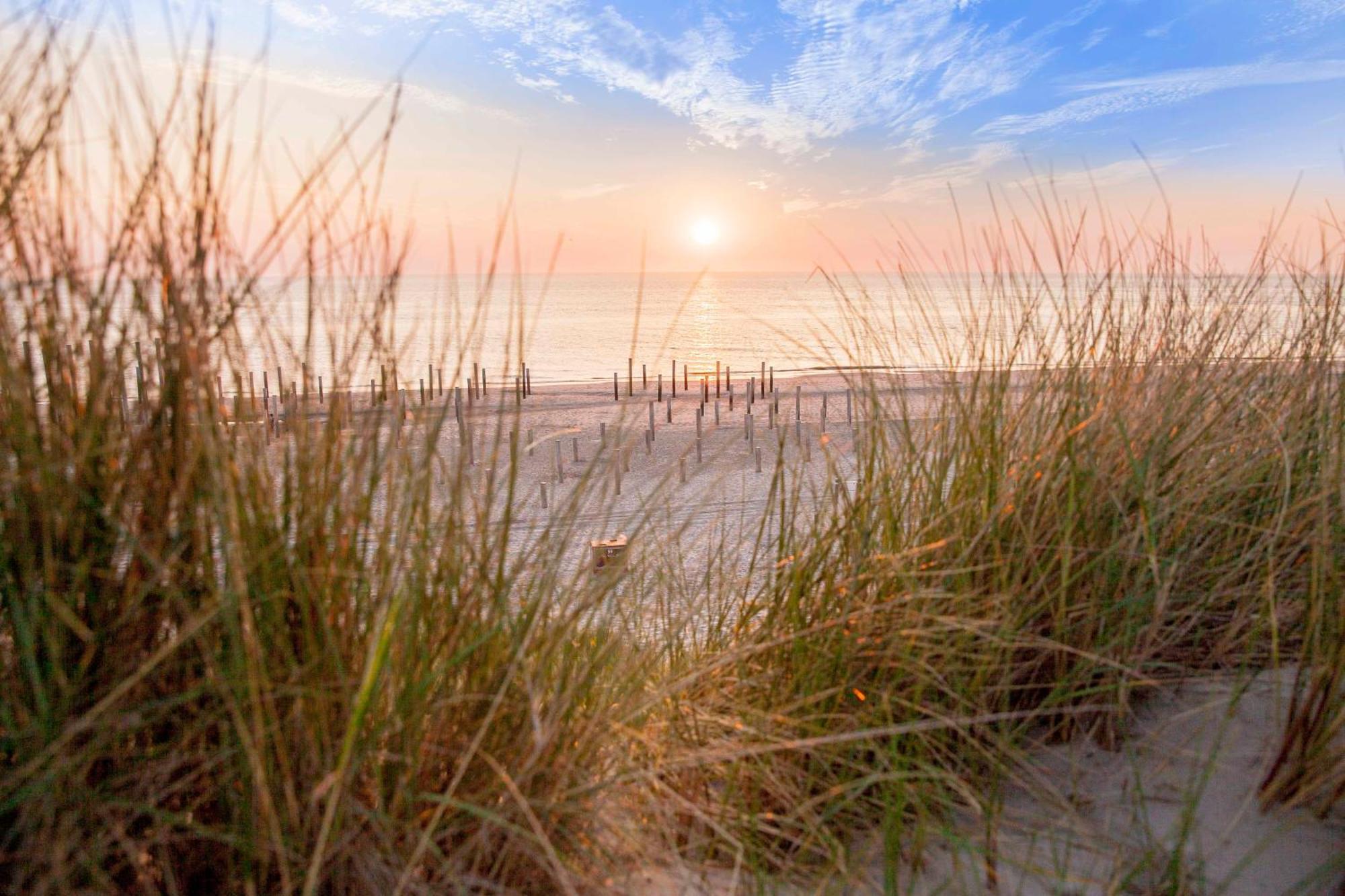 Vakantiehuisje Pluim 4 Personen - Zeezand Recreatie Stolpen Exteriér fotografie