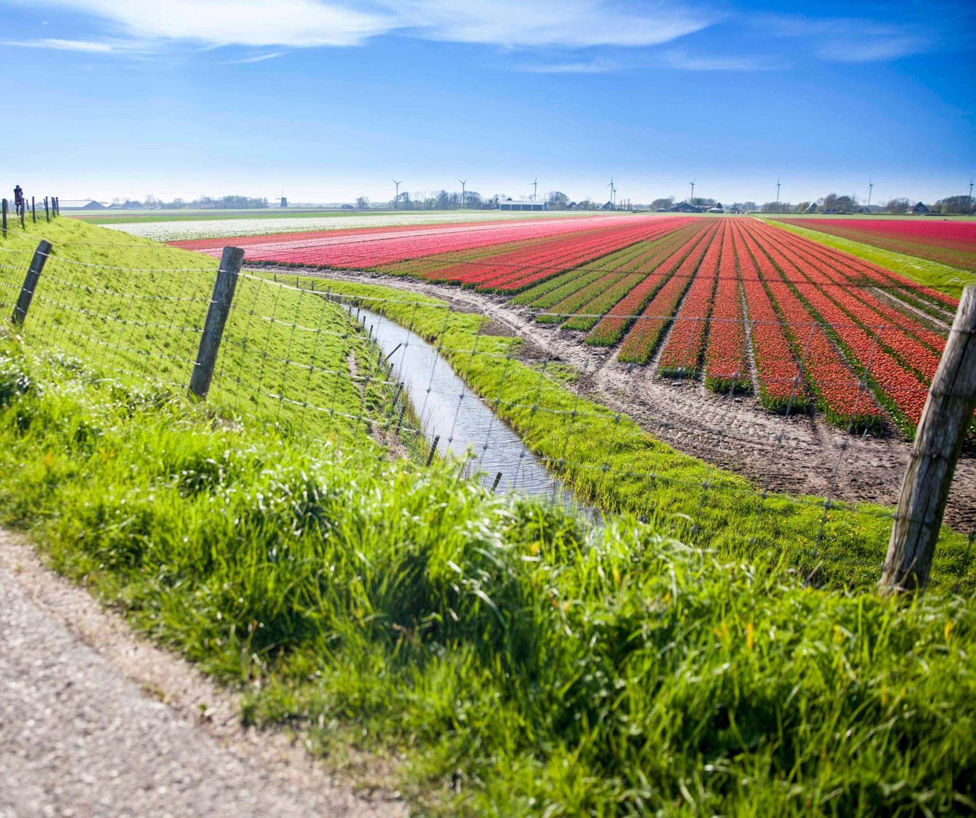 Vakantiehuisje Pluim 4 Personen - Zeezand Recreatie Stolpen Exteriér fotografie